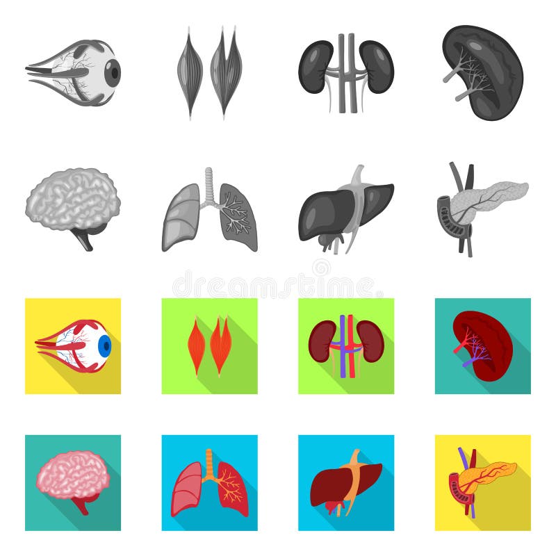 Vector Design of Biology and Scientific Icon. Set of Biology and ...