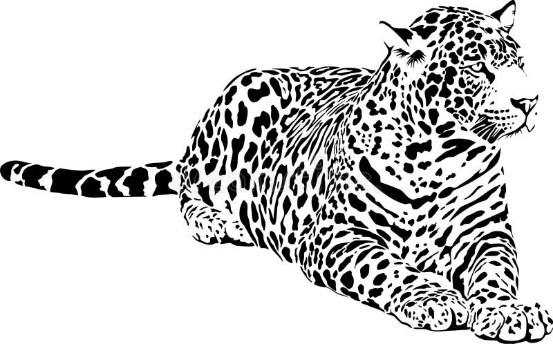 Leopard stock vector. Illustration of silhouette, cartoon - 116255003