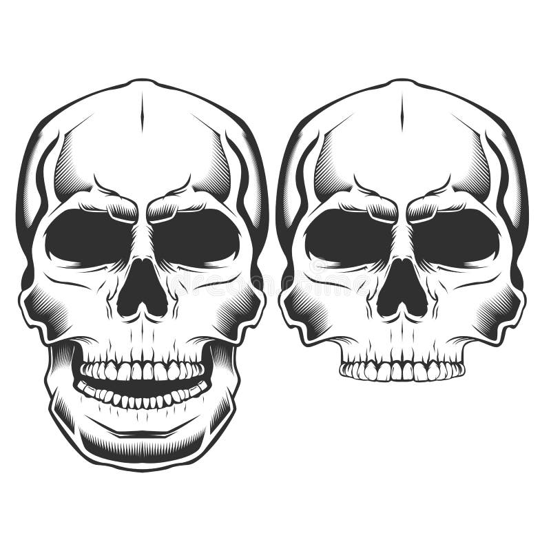 Vector Illustration of Black and White Skull Isolated on White ...