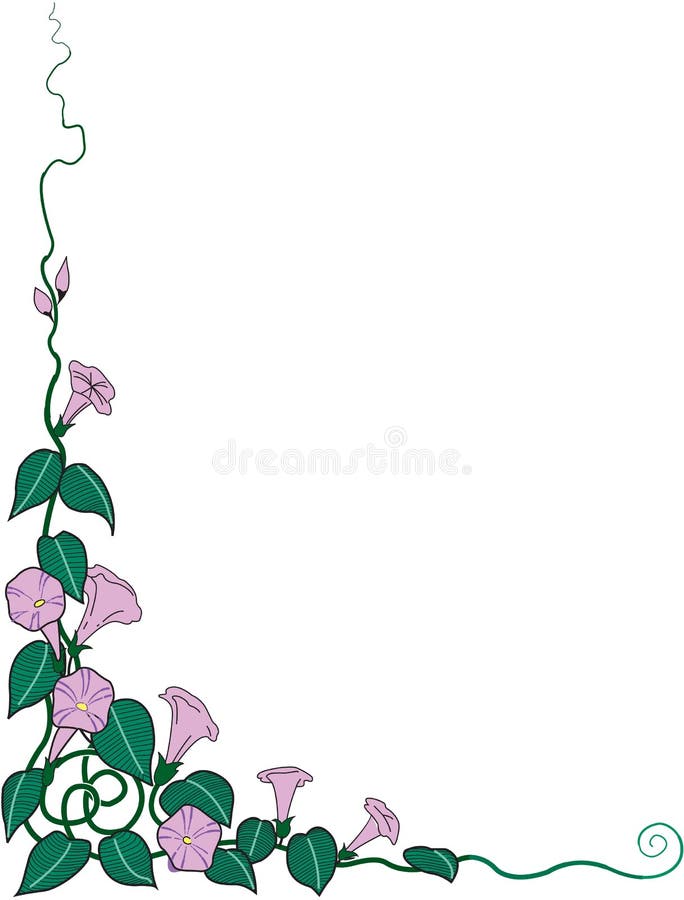 Morning Glories Border Vector Illustration Stock Vector Illustration of frame, glories 134436100