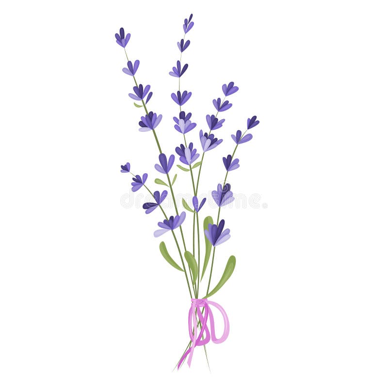 Bouquet of Lavender Flowers. Vector Black Silhouette Stock Vector ...