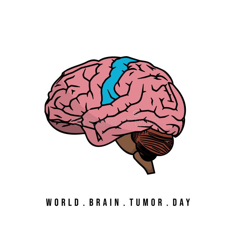 world brain tumor day vector illustraton. 5348132 Vector Art at Vecteezy