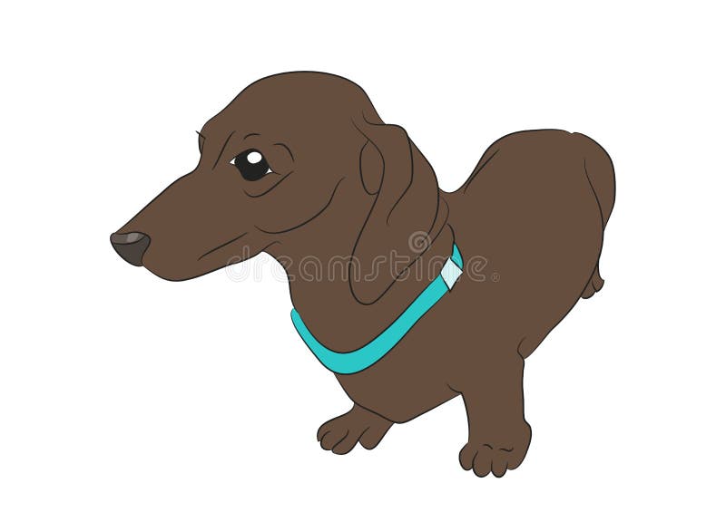Dachshund Stands Stock Illustrations – 79 Dachshund Stands Stock Illustrations, Vectors & Clipart - Dreamstime Dachshund Stands Stock Illustrations – 79 Dachshund Stands Stock Illustrations, Vectors & Clipart - Dreamstime
