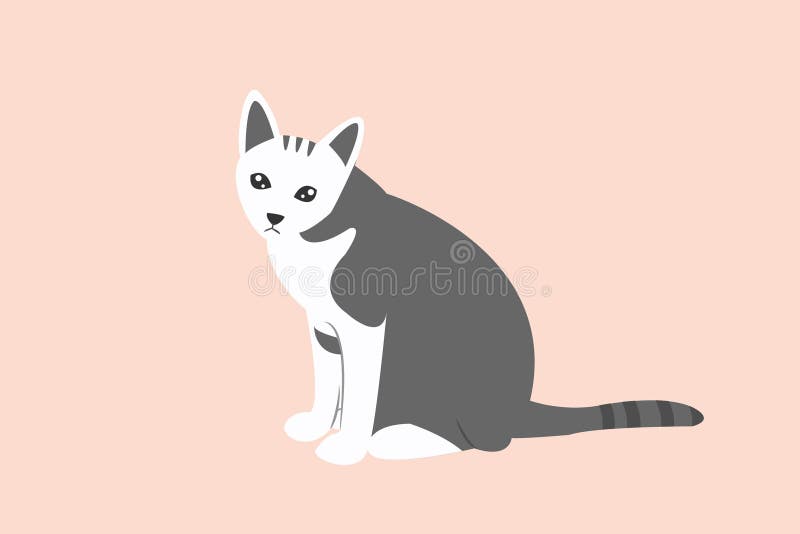 Vector Illustration of a Cat with Thick Gray Fur Stock Vector