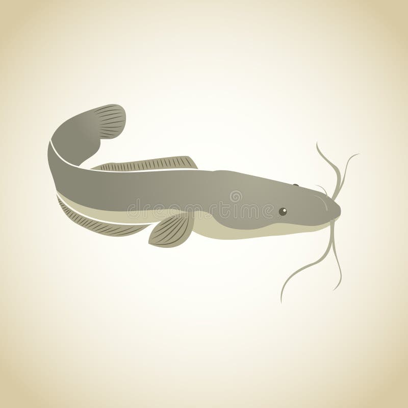 Vector Illustration of Catfish, Made Simple in Gray Stock Vector ...