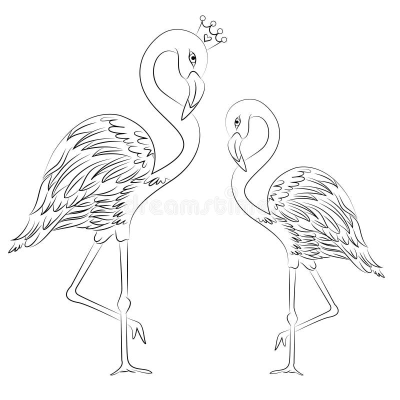 Download Vector Illustration Flamingos Coloring Page Stock Illustration Illustration Of Flamingo Page 119639144