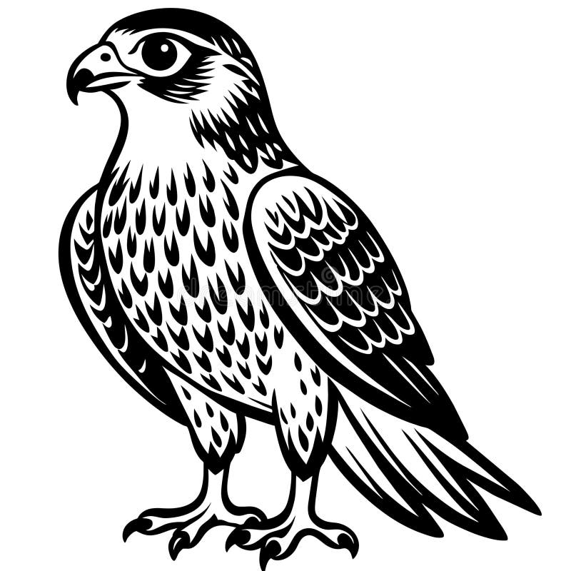 Vector Illustration of Cute Hawk Silhouette and Unique Design Stock