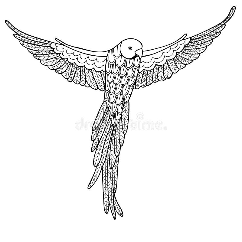 Vector illustration decorative bird on white background. Fashion trend of adult coloring book.Coloring pages. Bird parrot vector with doodle elements. Black and white. Vector illustration decorative bird on white background. Fashion trend of adult coloring book.Coloring pages. Bird parrot vector with doodle elements. Black and white.