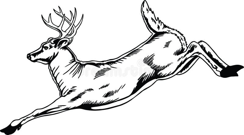 Deer Jumping Vector Illustration stock illustration