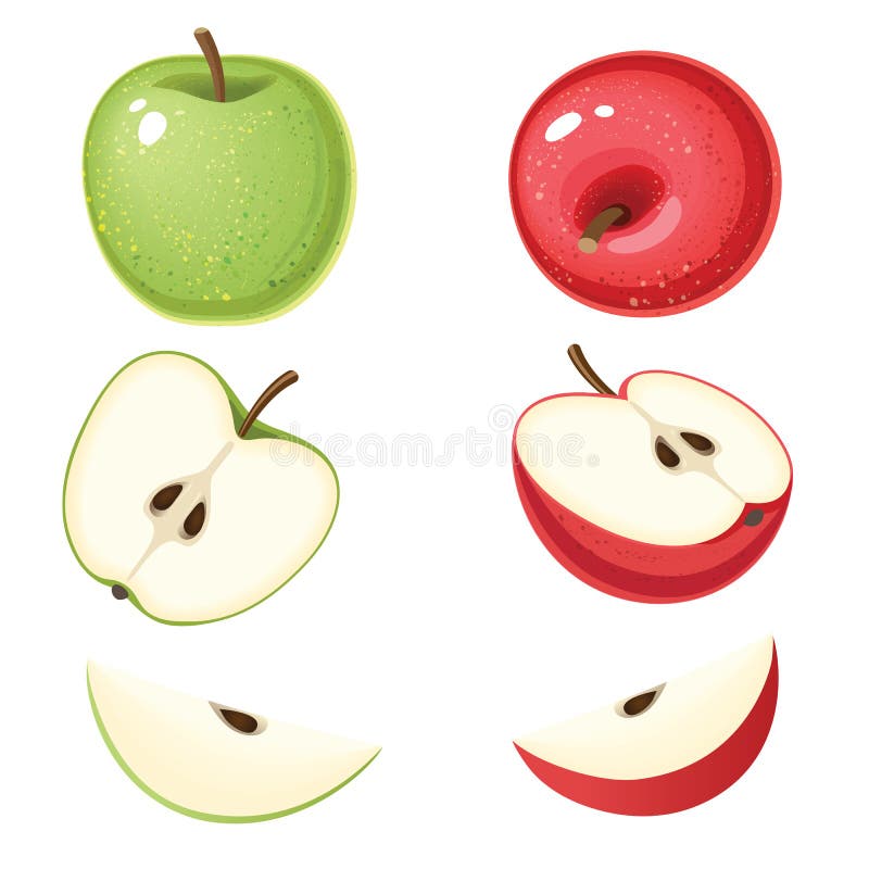 Vector Illustration des organischen grünen und roten Apfels mit Scheiben lizenzfreie abbildung