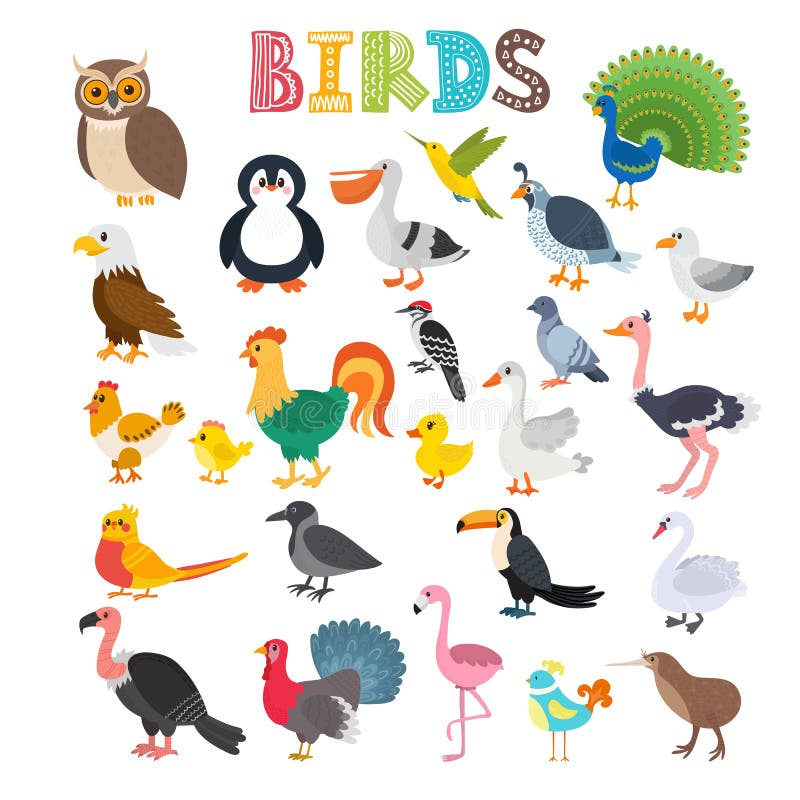 Vector illustration of different kind of birds. Cute cartoon birds