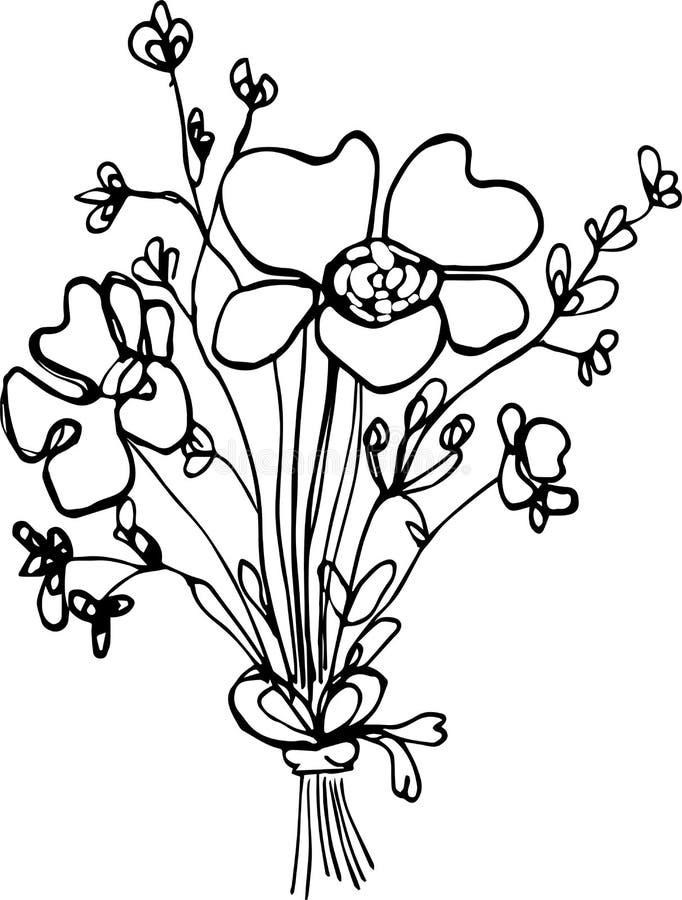 Vector Illustration Drawn Lines Bouguet Flowers for Mother`s Day Spring ...