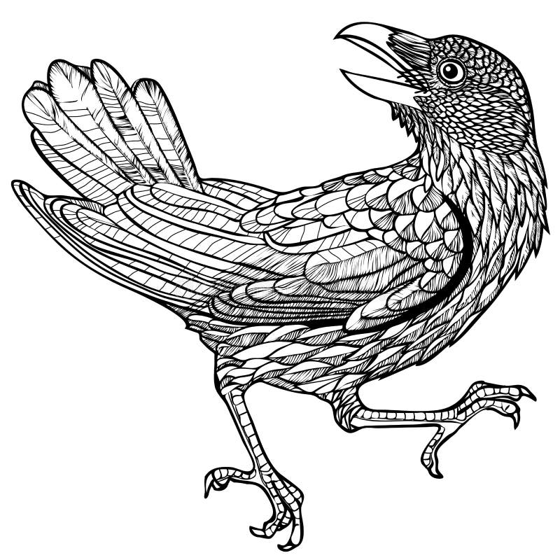 Vector illustration of engraved raven bird pattern black and white vector illustration Vector illustration of engraved raven bird pattern black and white vector illustration