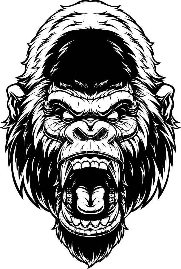 The Head of a Fierce Bulldog Stock Vector - Illustration of drawing ...