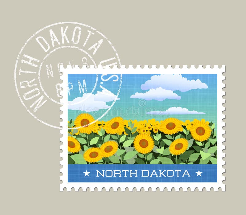 Vector illustration of field of sunflowers. North Dakota. vector illustration