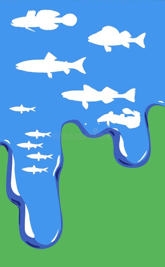 Vector illustration of fish in water