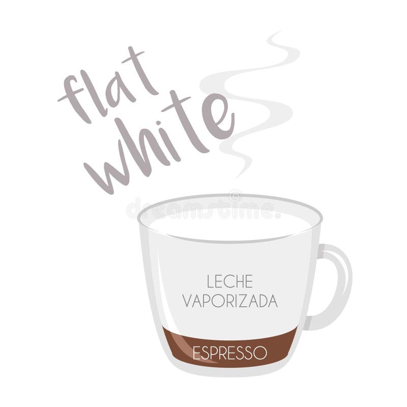 Flat White Coffee Cup Icon with Its Preparation and Proportions and