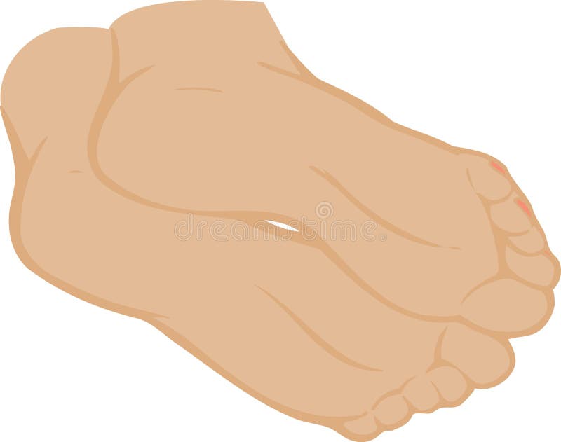 Vector illustration of a foot stock illustration