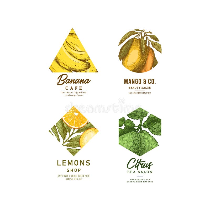 Fresh fruit logo collection. Engraved logotype set. Tropical fruit beauty salon symbols. Vector illustration