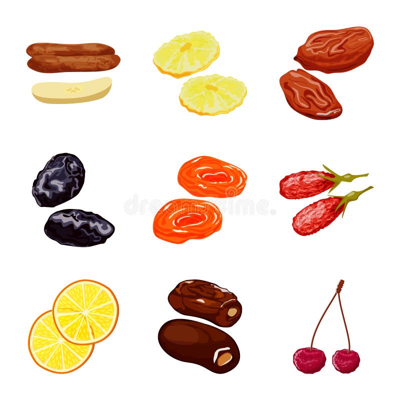 Vector Design of Fruit and Dried Logo. Set of Fruit and Food Stock ...