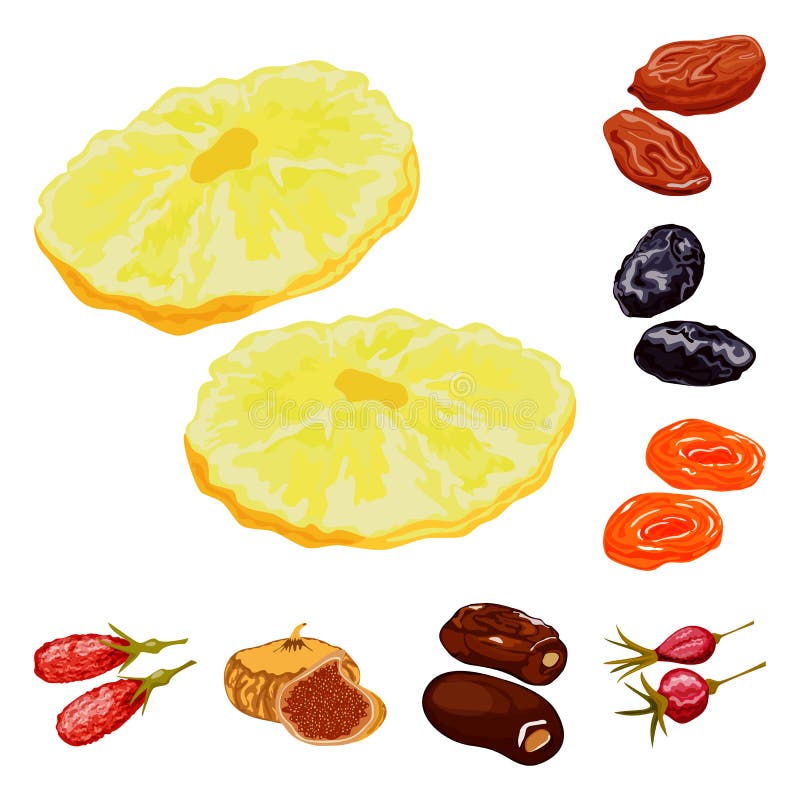 Vector Illustration of Fruit and Dried Sign. Set of Fruit and Food ...