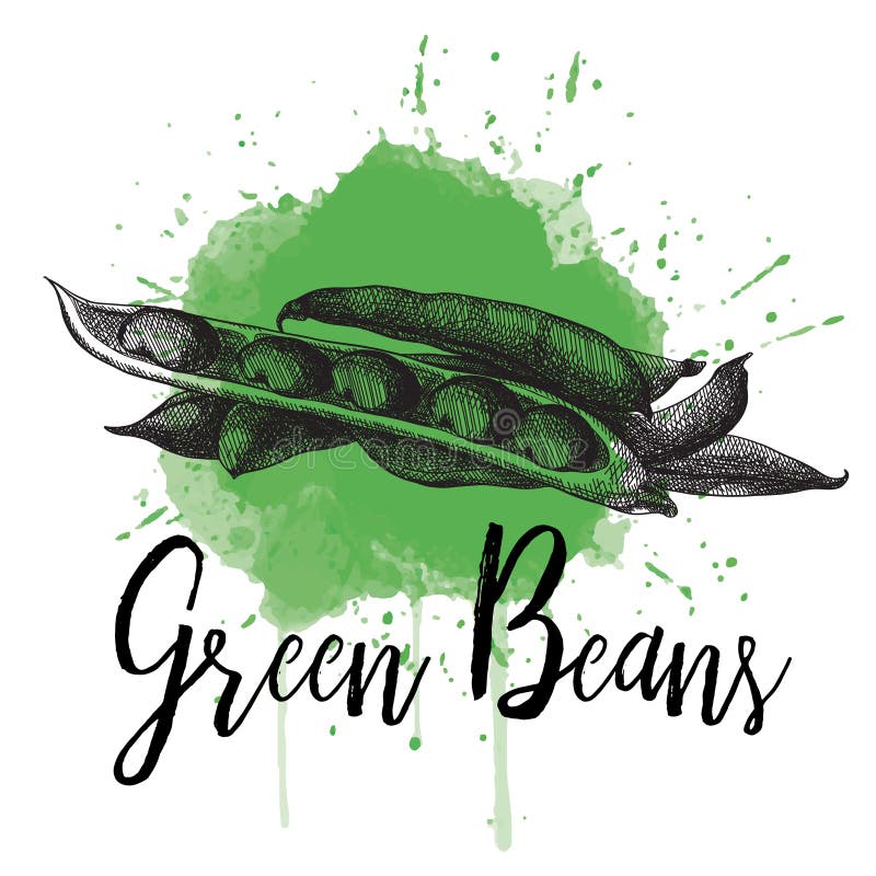 Cute Green Bean Stock Illustrations – 1,672 Cute Green Bean Stock ...