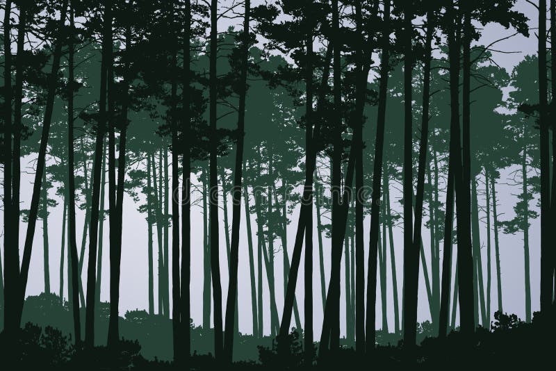 Vector illustration of green coniferous deep forest with tall trees, under grey cloudy sky
