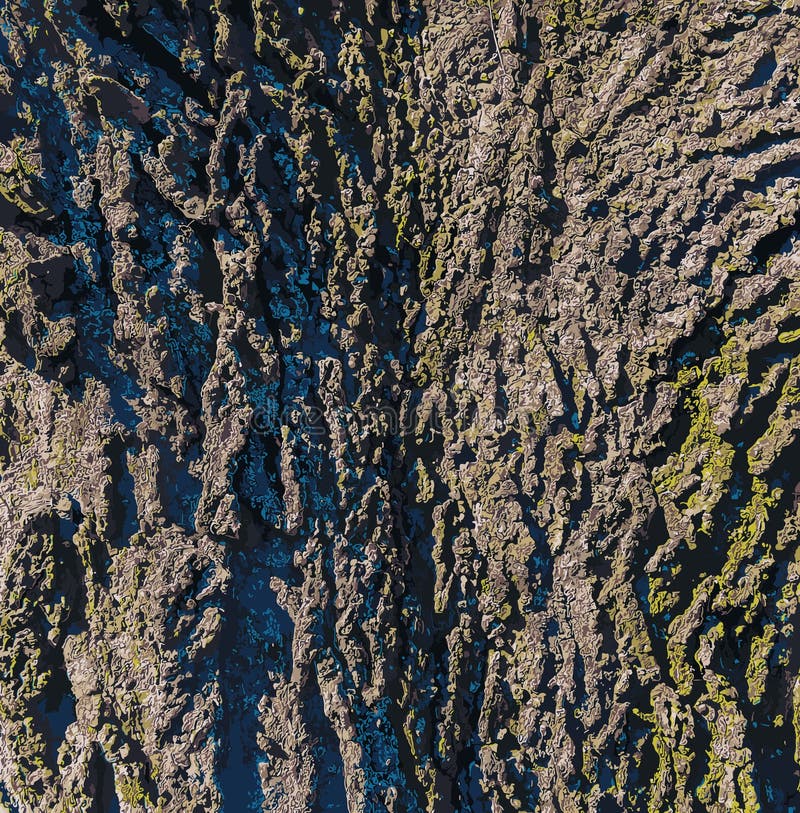 Vector illustration of Hackberry bark texture. Texture of Hackberry bark. Hackberry bark background. royalty free illustration