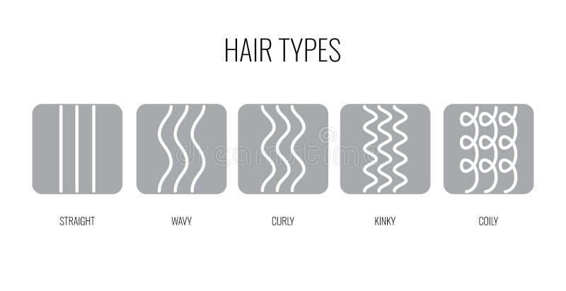 Curly Hair Types Stock Illustrations 250 Curly Hair Types Stock Illustrations Vectors Clipart Dreamstime Curly Hair Types Stock Illustrations 250 Curly Hair Types Stock Illustrations Vectors Clipart Dreamstime