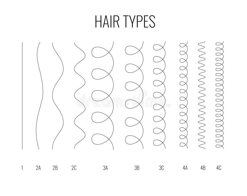 Hair Type Chart White