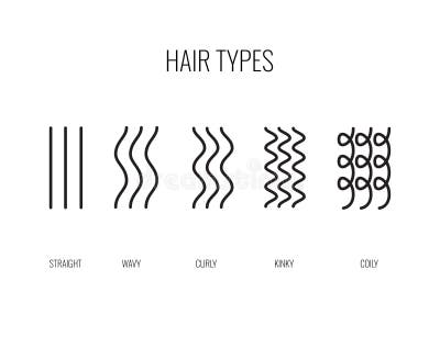 Hair Type Chart Stock Illustrations – 284 Hair Type Chart Stock ...