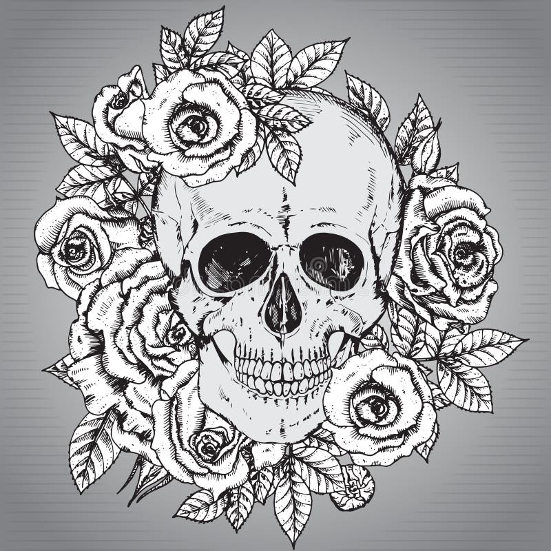 Vector illustration with hand drawn human skull with rose flower royalty free illustration Vector illustration with hand drawn human skull with rose flower royalty free illustration
