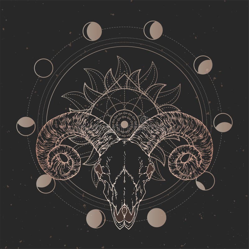 Skull Sacred Geometry Design Stock Vector - Illustration of astrology ...