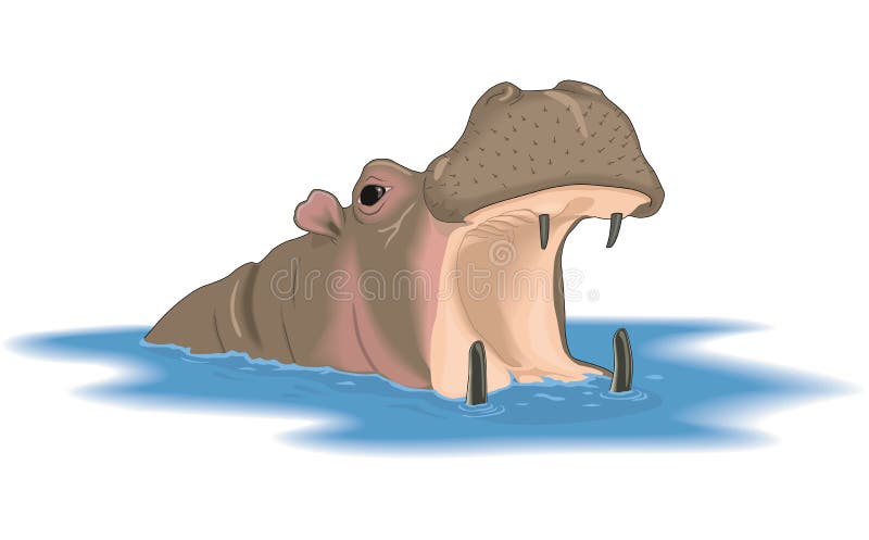 Hippopotamus with Mouth Open Illustration Stock Vector - Illustration of  hippopotamus, africa: 133757289