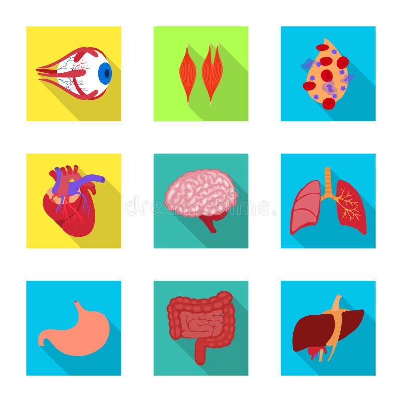 Vector Design of Human and Health Icon. Set of Human and Scientific ...