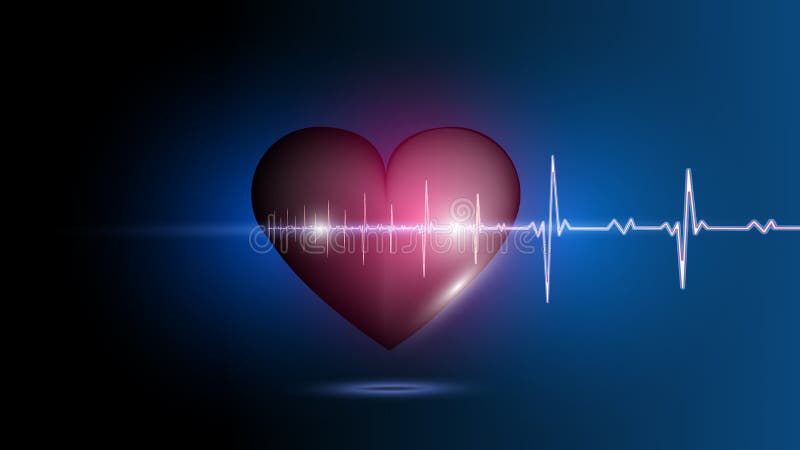 4K Heart Beat Line Images  Browse 65 Stock Photos Vectors and Video   Adobe Stock