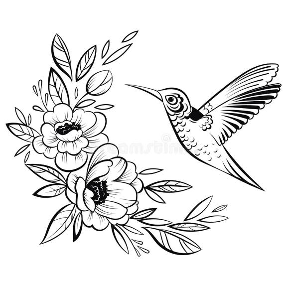 Hummingbird Black White Stock Illustrations – 3,180 Hummingbird Black ...