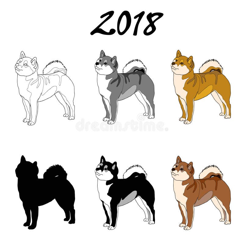 Shiba Inu Color Chart