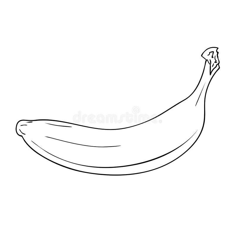 Bananas And Leaves Drawing Of Hand Drawn Tropical Fruits With Leaves At The  Top, Leaves Drawing, Banana Drawing, Fruit Drawing PNG Transparent Image  and Clipart for Free Download