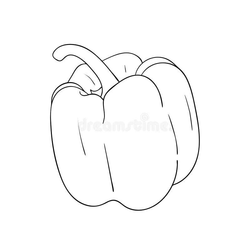 Vector Illustration, Isolated Pepper in Black and White Colors, Outline