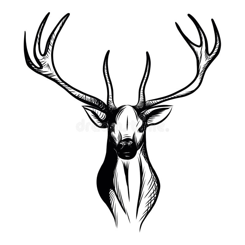 Illustration of an isolated stag head