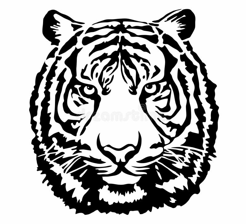 Vector Illustration Isolated on White. Tiger Head. Black and White