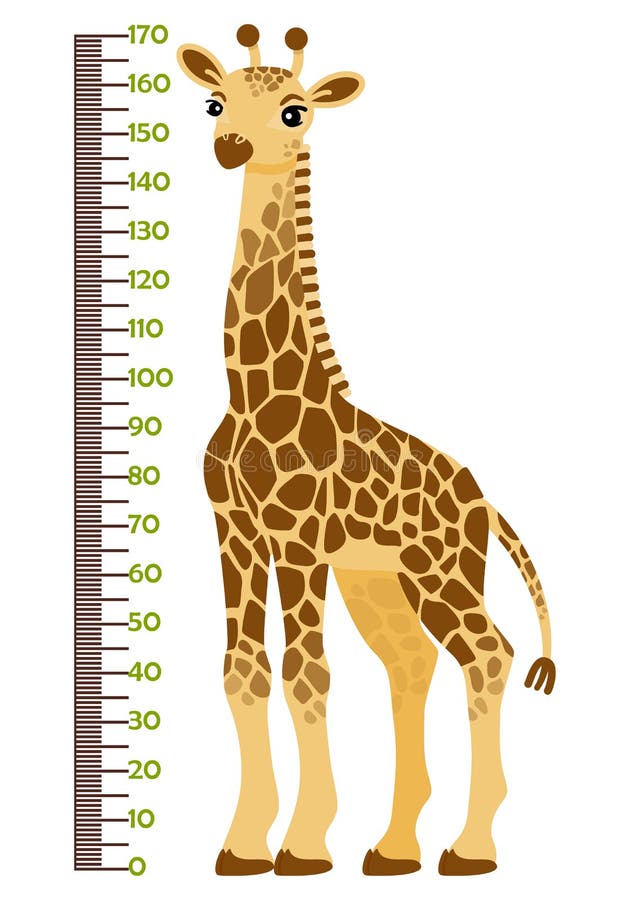 Vector Illustration of Kids Height Chart with Cartoon Giraffe. Stock