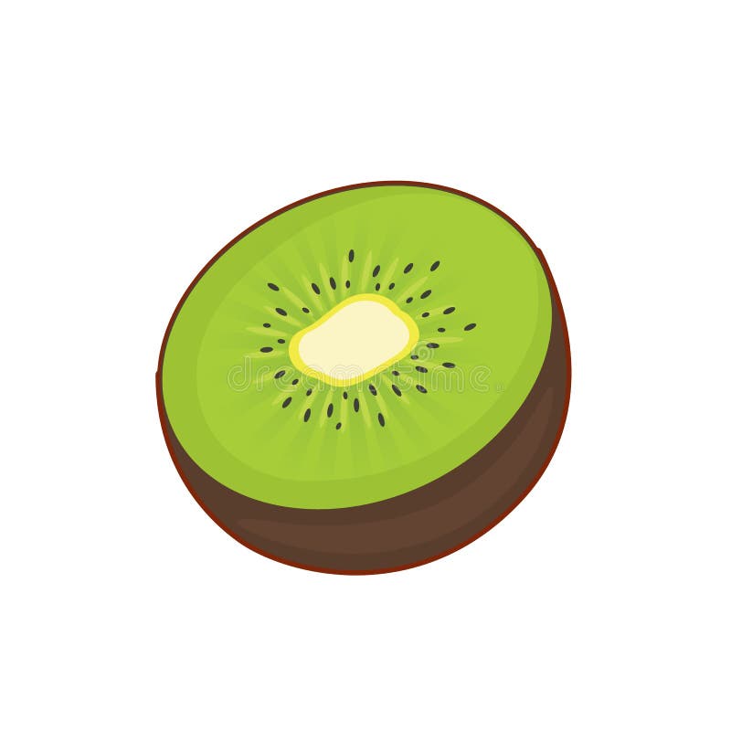 Vector Illustration of Kiwi Half Stock Vector - Illustration of fruit