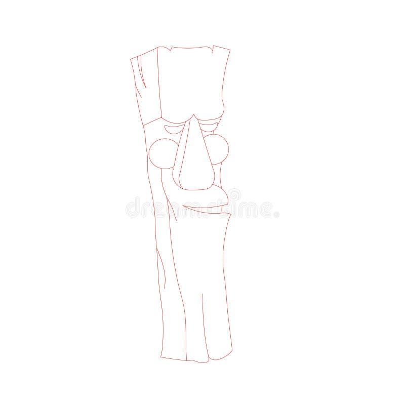 Totem Pole Drawing Easy Step By Step - The haida are an indigenous ...