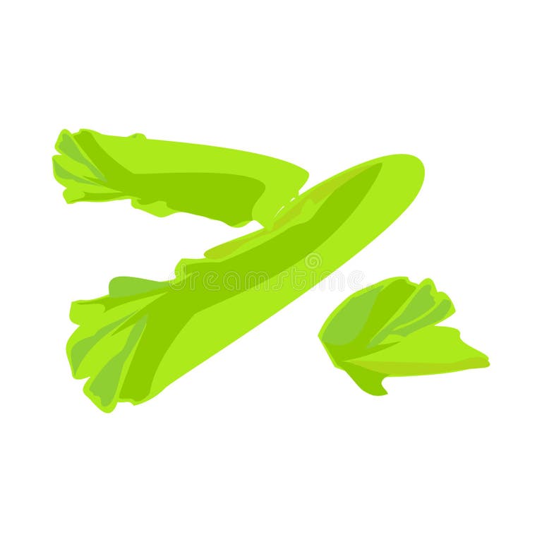 Cartoon Lettuce Leaf Sign Stock Illustrations – 784 Cartoon Lettuce ...