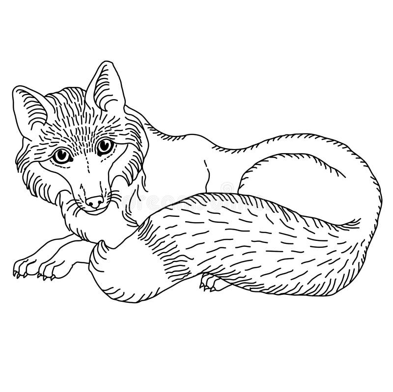 Vector illustration of lying fox black and white line drawing template for engraving, embroidery, burning out on a tree and o stock illustration Vector illustration of lying fox black and white line drawing template for engraving, embroidery, burning out on a tree and o stock illustration