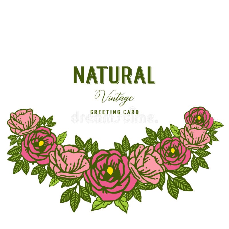 Vector illustration natural vintage with rose flower frame royalty free illustration Vector illustration natural vintage with rose flower frame royalty free illustration