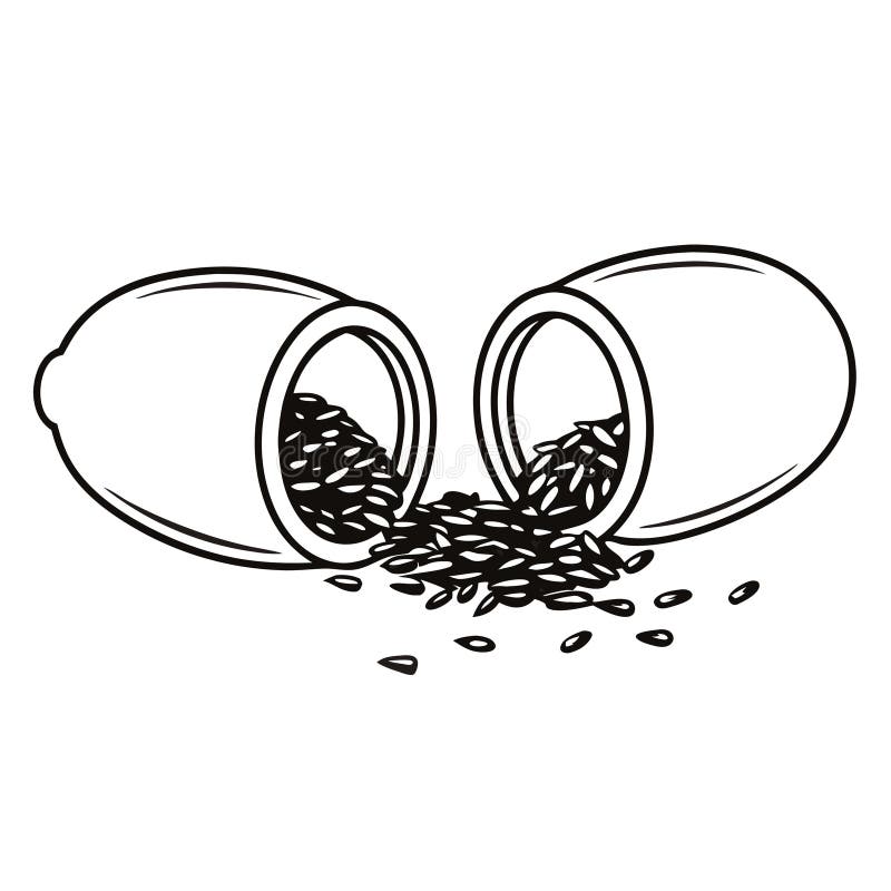 Vector Illustration of Open Capsule with Loose Seeds for Health and Wellness Design stock illustration