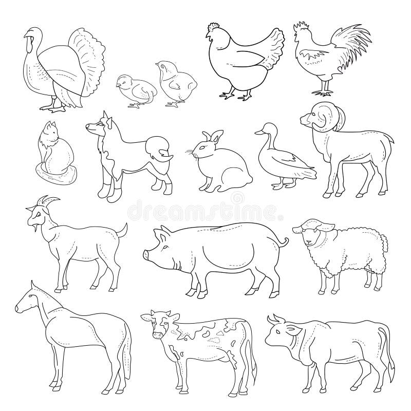 Vector Illustration of Outline Figures of Farm Animals. Animals in Line